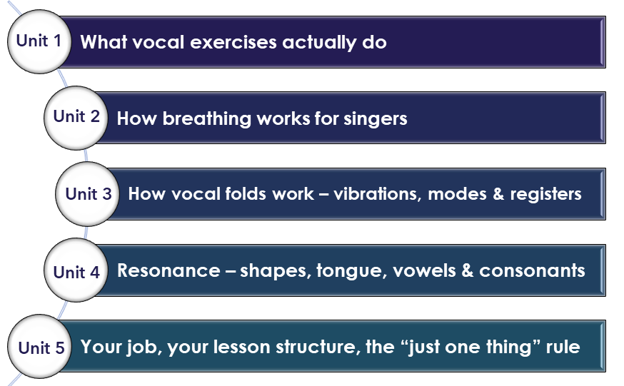 12 Hours to Better Singing Teaching Day graphic brand colours.png