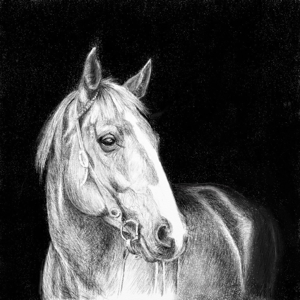 Horse-Drawing.jpg