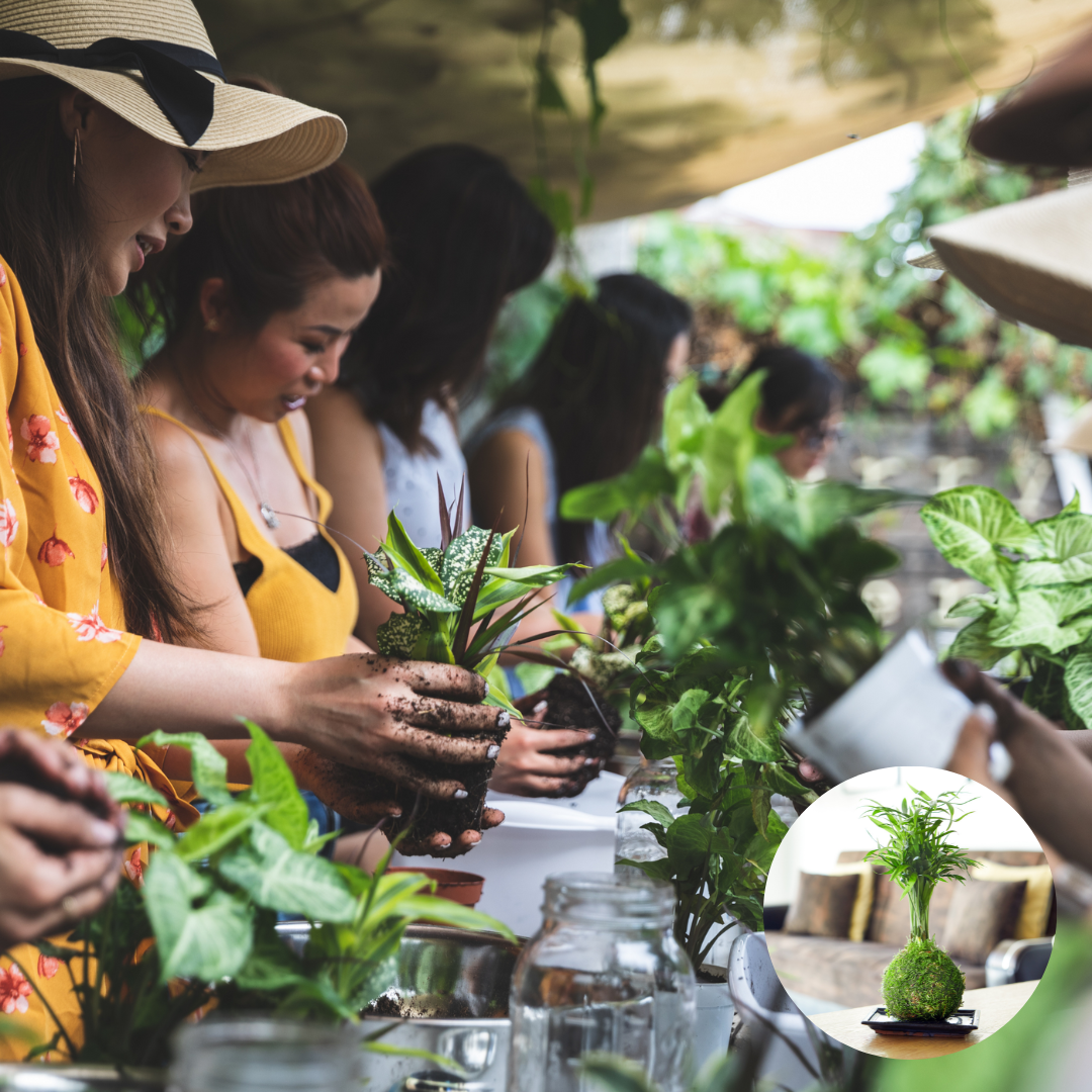 Tranquil Plants Workshop.png