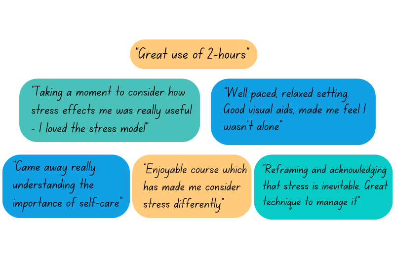 reviews of workshops.png