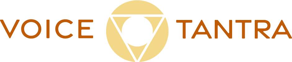 VT-logo-main.png