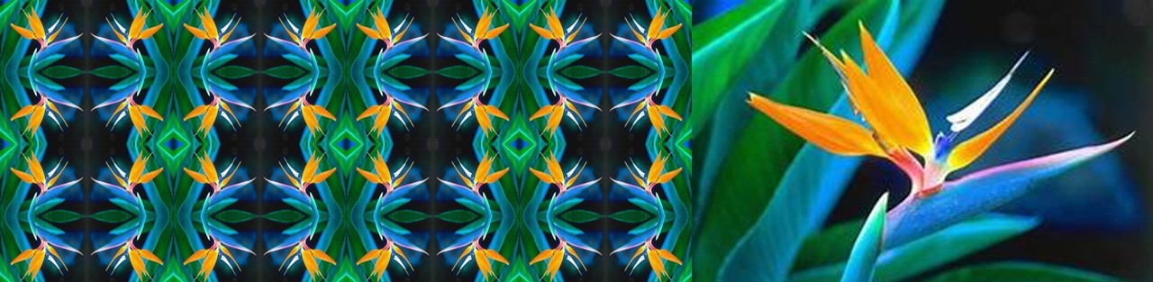 NS-PRIMARY-DIGITAL TEXTILES IMAGE 5.JPG