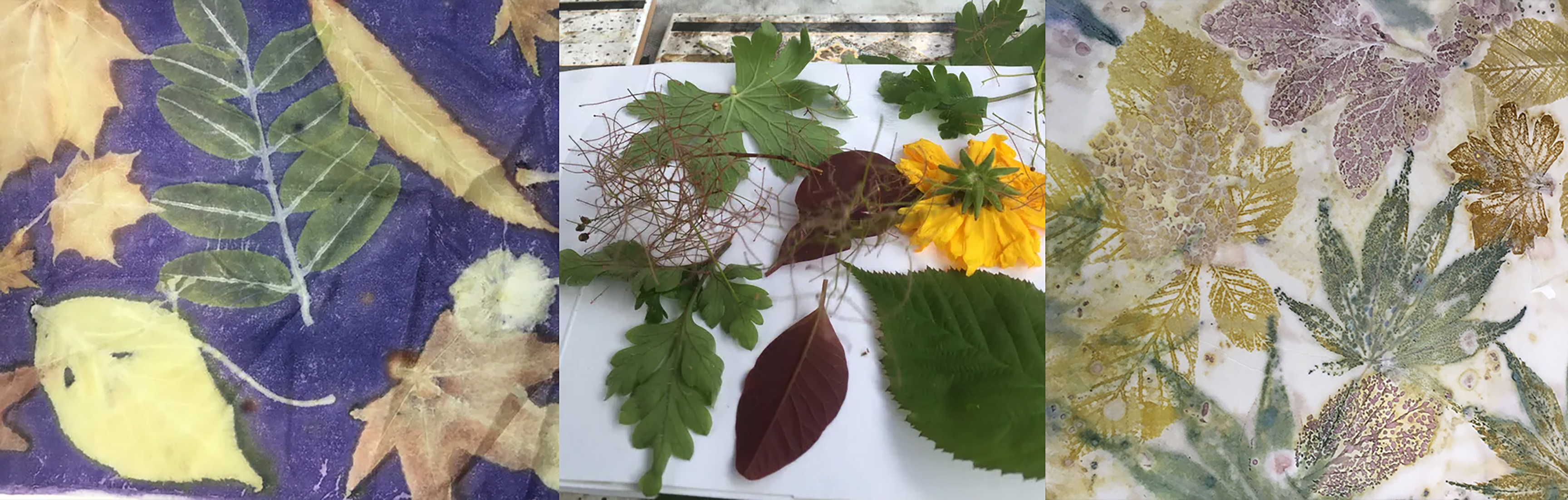 Eco-Printing collage image.jpg
