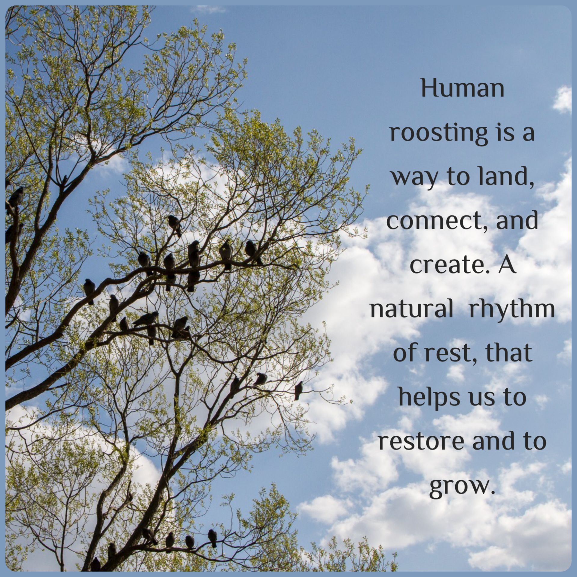roosting.jpeg