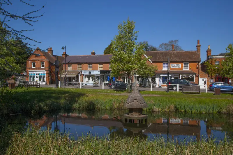 hartley-wintney-hampshire-england-duck-pond-hartley-wintney-features-wide-main-street-village-green-duck-pond-132740136.webp