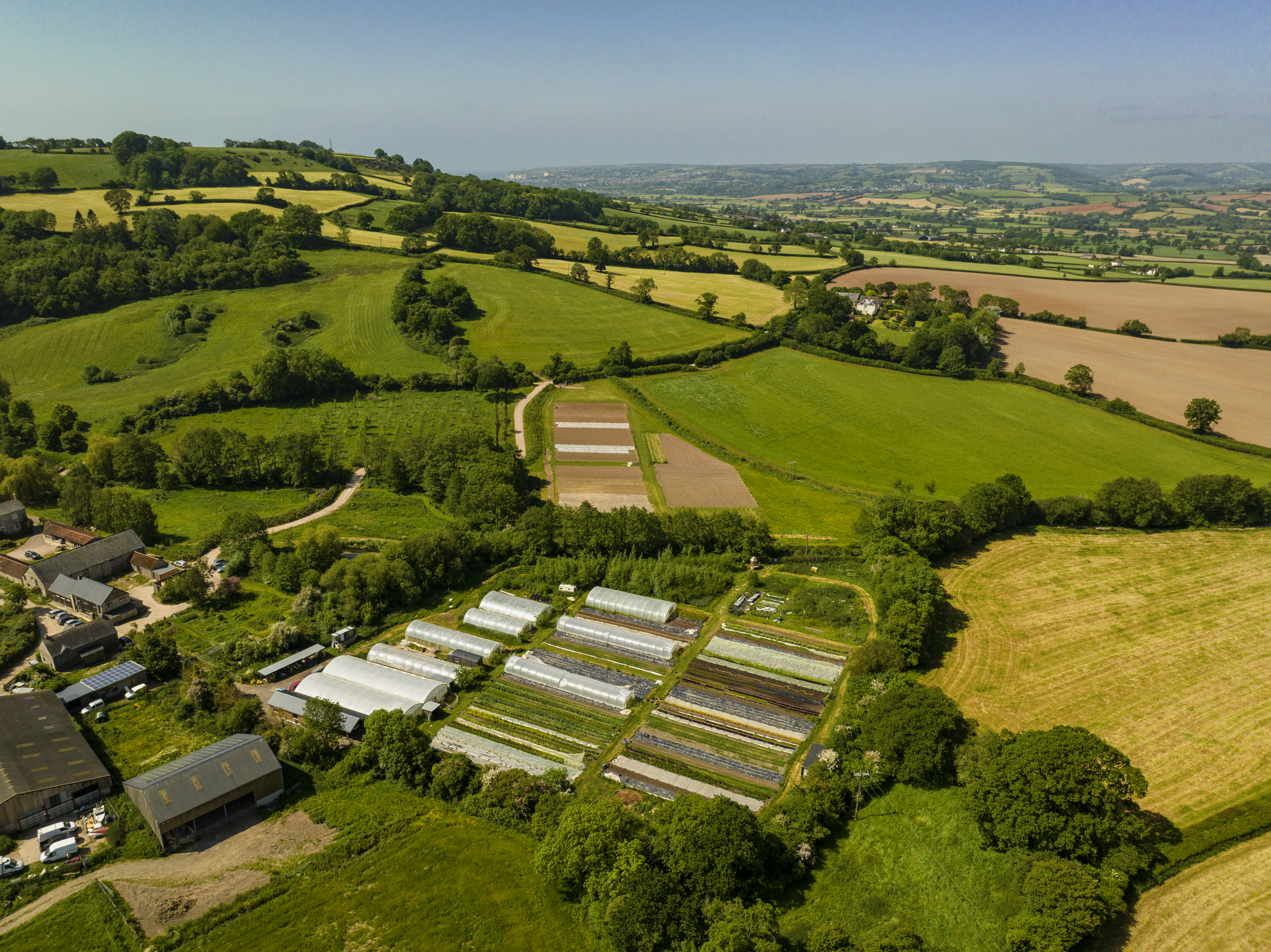 Drone-Photo-Trill-Farm-Garden-DJI_0137 (1).jpg